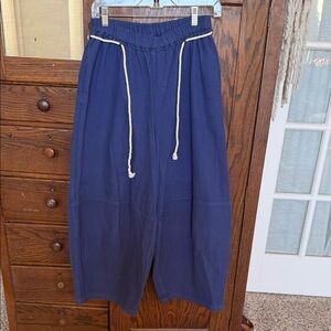 We the free barrel leg pants